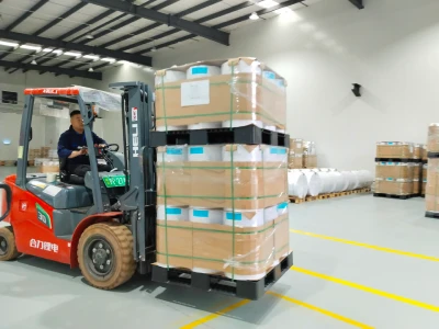 PET plastic sheet rolls shipped to Philippines